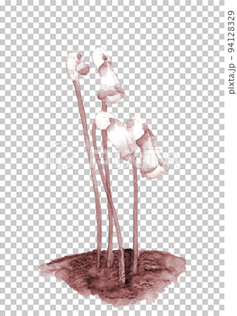 水彩で描いた南蛮ギセルのイラスト ブラウントーン 白バック 94128329