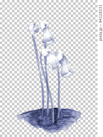 Nanban Gissel illustration drawn by watercolor Blue tone White back 94128331