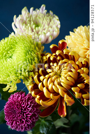 菊の花束 94128571