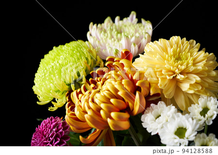 菊の花束 94128588