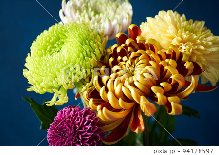 菊の花束 94128597