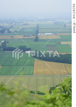 新嵐山スカイパーク展望台から見た雲天の十勝平野 94128704