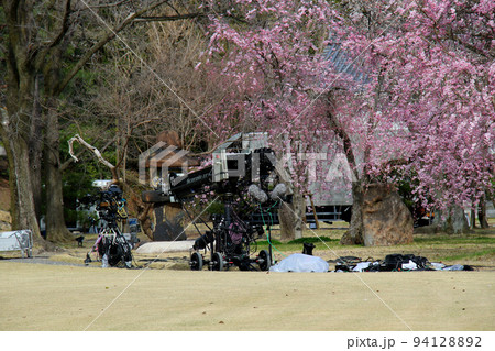 世界遺産 本離宮二条城 桜 と NHK中継機材 世界遺産 本離宮二条城 桜 と NHK中継機材 94128892