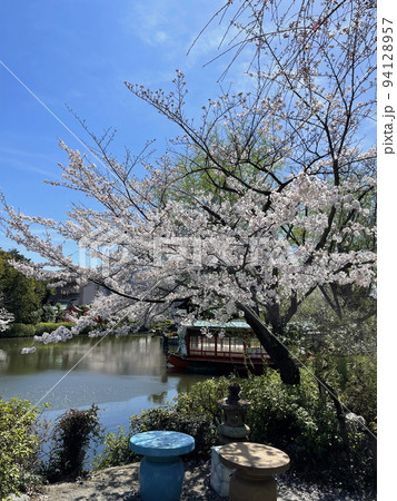 京都 二条城近くの神泉苑 京都 二条城近くの神泉苑 94128957