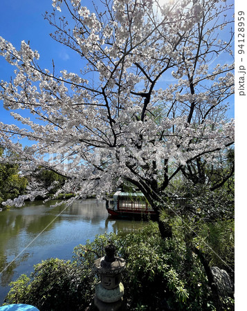 京都 二条城近くの神泉苑 京都 二条城近くの神泉苑 94128959