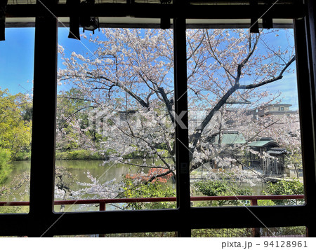 京都　二条城近くの神泉苑 94128961