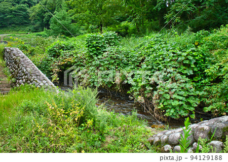 富山県魚津市北山地区の河川や里山の様子など 94129188