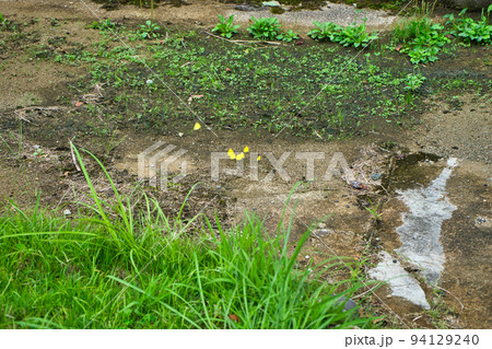 富山県魚津市北山地区の河川や里山の様子など 94129240