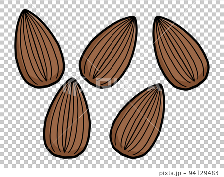 アーモンドのイラスト 94129483