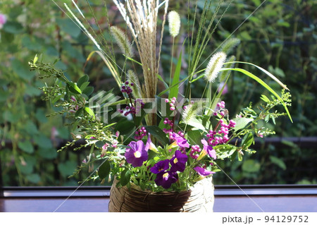 窓辺に秋の植物を飾る 94129752