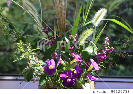 出窓に秋の植物を飾る 94129753