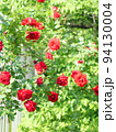 薔薇 94130004