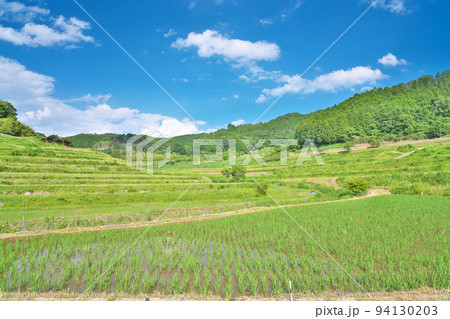 【大垪和西の棚田】 岡山県久米郡美咲町大垪和西 94130203