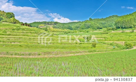 【大垪和西の棚田】 (高解像度版) 岡山県久米郡美咲町大垪和西 94130837
