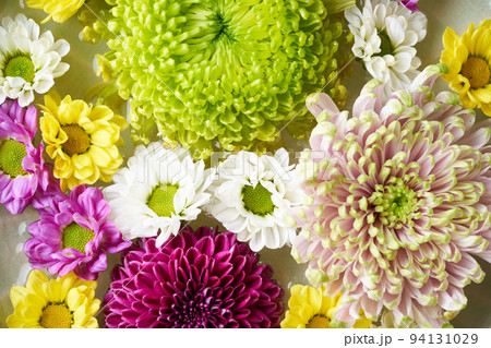 花手水 菊の花の写真素材 [94131029] - PIXTA