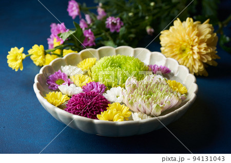花手水　菊の花 94131043