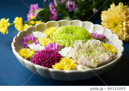 花手水 菊の花 花手水 菊の花 94131045