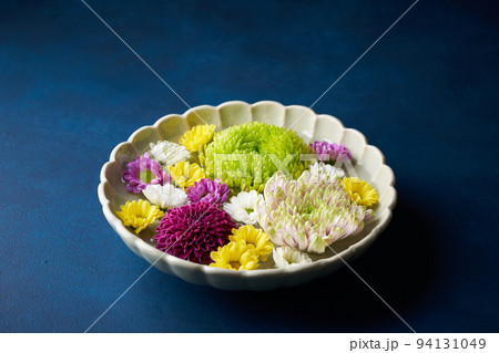 花手水　菊の花 94131049