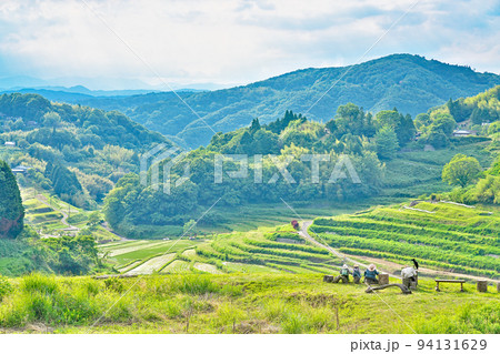 【大垪和西の棚田】 岡山県久米郡美咲町大垪和西 94131629