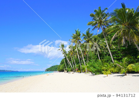 プカシェルビーチのヤシの木、ボラカイ島、フィリピン プカシェルビーチのヤシの木、ボラカイ島、フィリピン 94131712