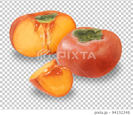 柿子插畫,觸感逼真,觸感溫和 柿子插畫,觸感逼真,觸感溫和 94132248
