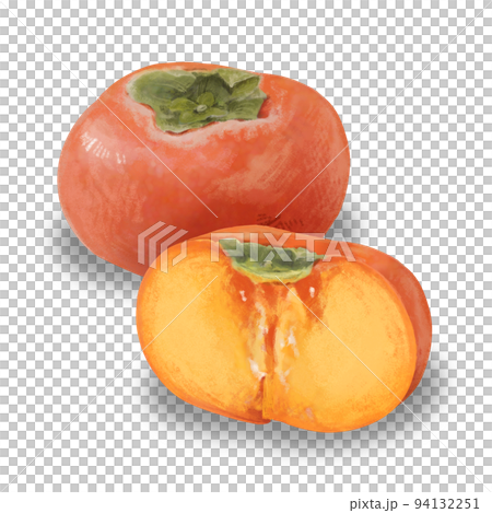 リアルかつ優しいタッチの柿のイラスト 94132251