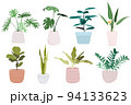 Set of house plants in pots 94133623