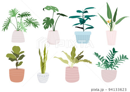Set of house plants in pots 94133623