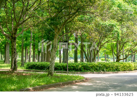 水元公園/東京都葛飾区 水元公園/東京都葛飾区 94133625