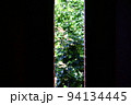 隙間から見える緑に癒される 94134445