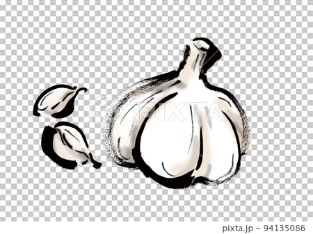 大蒜手繪插畫 94135086