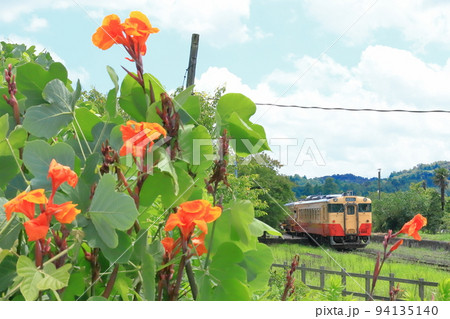 夏の小湊鐵道「背丈の高いカンナの花とキハ40を背景に」 夏の小湊鐵道「背丈の高いカンナの花とキハ40を背景に」 94135140