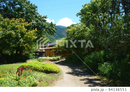 緑に囲まれた小さな花壇 94136551