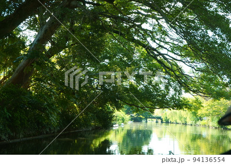 水郷柳川の緑のトンネル 94136554