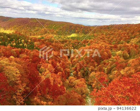 八甲田山の紅葉 八甲田山の紅葉 94136622