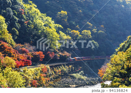 秋の保津峡を走る嵯峨野トロッコ列車 94136824