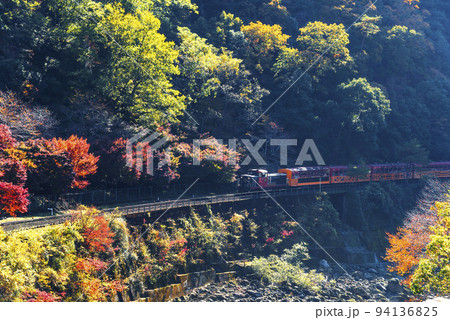 秋の保津峡を走る嵯峨野トロッコ列車 94136825