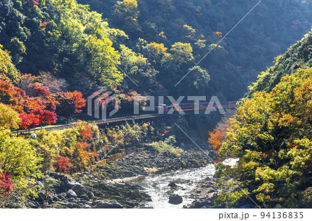 晩秋の保津峡を走る嵯峨野トロッコ列車 94136835