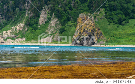 algae on the littoral at low tide against a seascape with coastal rocks algae on the littoral at low tide against a seascape with coastal rocks 94137248