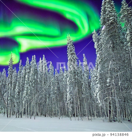 Northern lights over the forest. Polar light Northern lights over the forest. Polar light 94138846