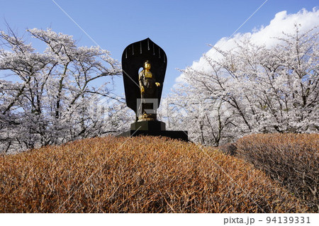 蓼科山 聖光寺（たてしなさん しょうこうじ）「本州で最も遅いソメイヨシノ」が見られる桜の名所である 94139331