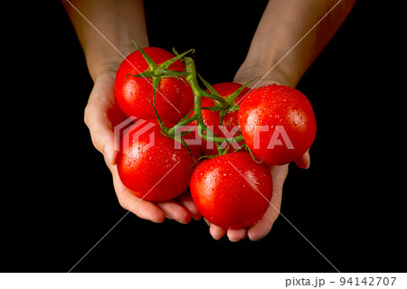 women holding fresh tomatoes. Food, vegetables, agriculture. 94142707