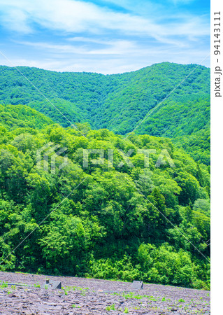 玉原ダム 玉原湖 天羽からの風景 初夏の季節 玉原ダム 玉原湖 天羽からの風景 初夏の季節 94143111