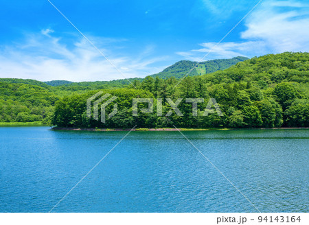 玉原湖　玉原ダム　湖の風景　初夏の季節 94143164