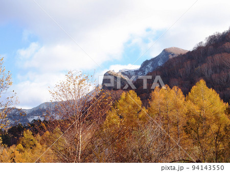 晩秋、初冠雪で雪がある岩肌とまだ黄色の紅葉が残るカラ松とのコラボレーションが青空に綺麗 94143550