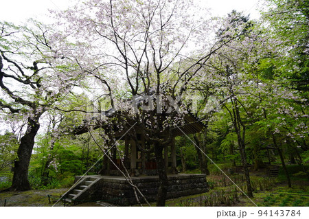 光前寺（こうぜんじ）は、長野県駒ヶ根市赤穂にある天台宗の別格本山の寺院である。 94143784