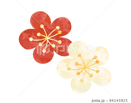 紅白梅花圖 紅白梅花插畫-插圖素材[94143925] - PIXTA圖庫