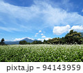 秋のそば畑、白い花と磐梯山とのコラボレーションが青空に綺麗 94143959