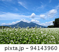 ソバの白い花と磐梯山とのコラボレーションが青空に綺麗 94143960