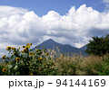 晩夏、ひまわりとススキが一緒に生え、磐梯山とのコラボレーションが青空に綺麗 94144169